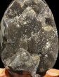 Septarian Dragon Egg Geode - Black Crystals #37125-1